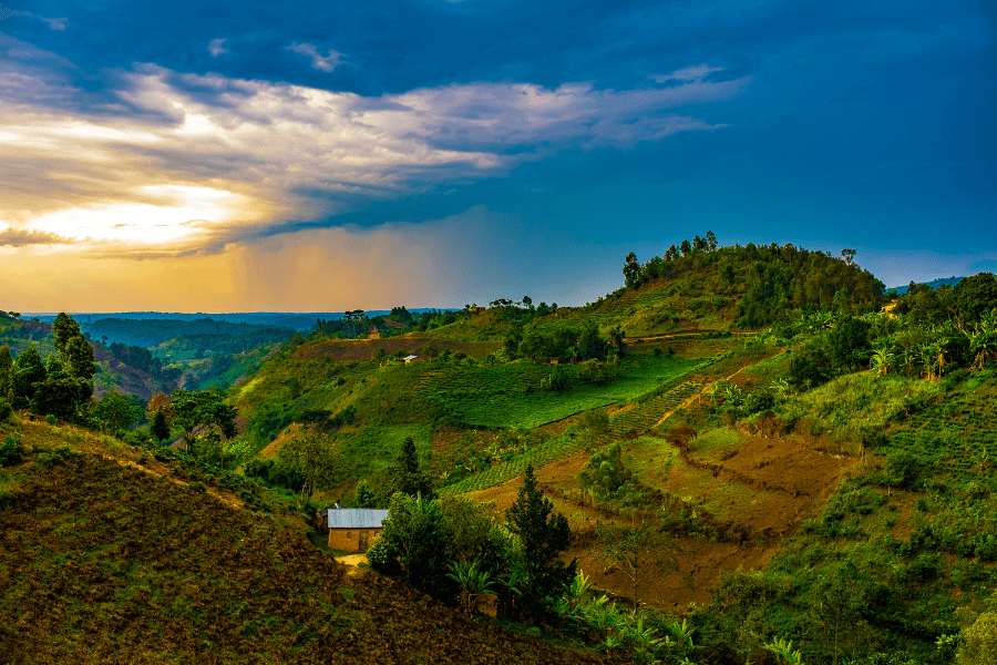Hills of Rwanda