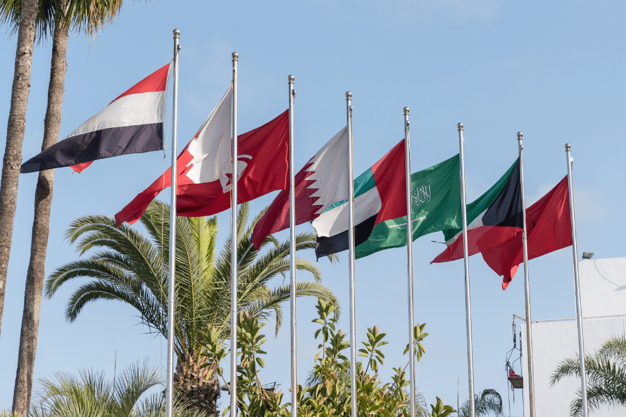 8 Reasons MNCs Are Flocking to the Middle East and North Africa Region